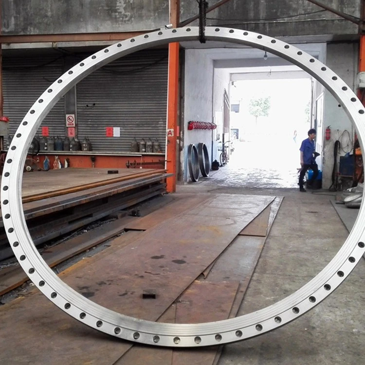 Inconel UNS N07750 Flange